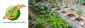 Focus Planting Australia
