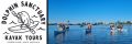 Dolphin Sanctuary Kayak Tours