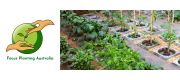 Focus Planting Australia