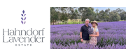 Hahndorf Lavender Estate Hahndorf Lavender Estate