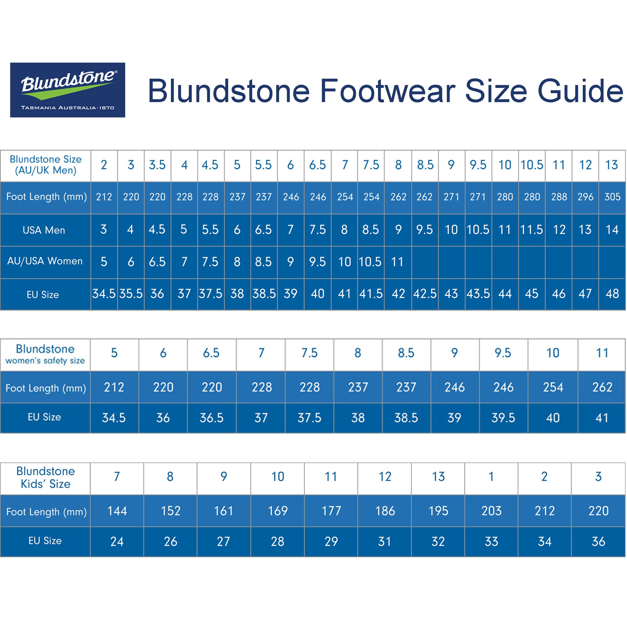 blundstone 419