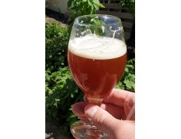 Amber Ale