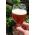 Amber Ale
