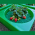 GrowWell Focus Planter by Focus Planting Australia growing strawberries 1