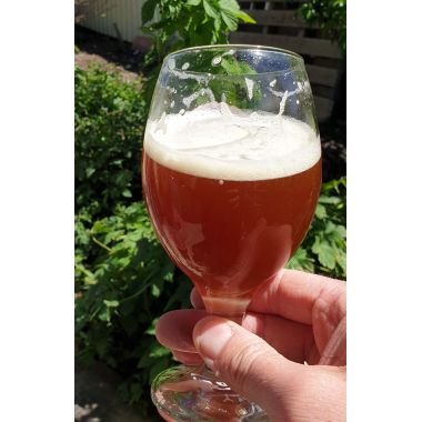 Amber Ale